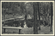 17508 Gezicht op de vijver De Koekenpan in het bos bij Driebergen-Rijsenburg.